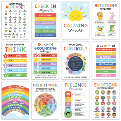 ✨📚12-Calm Poster Set – Teach Emotions & Self-Regulation in Any Classroom or Therapy Space🌈