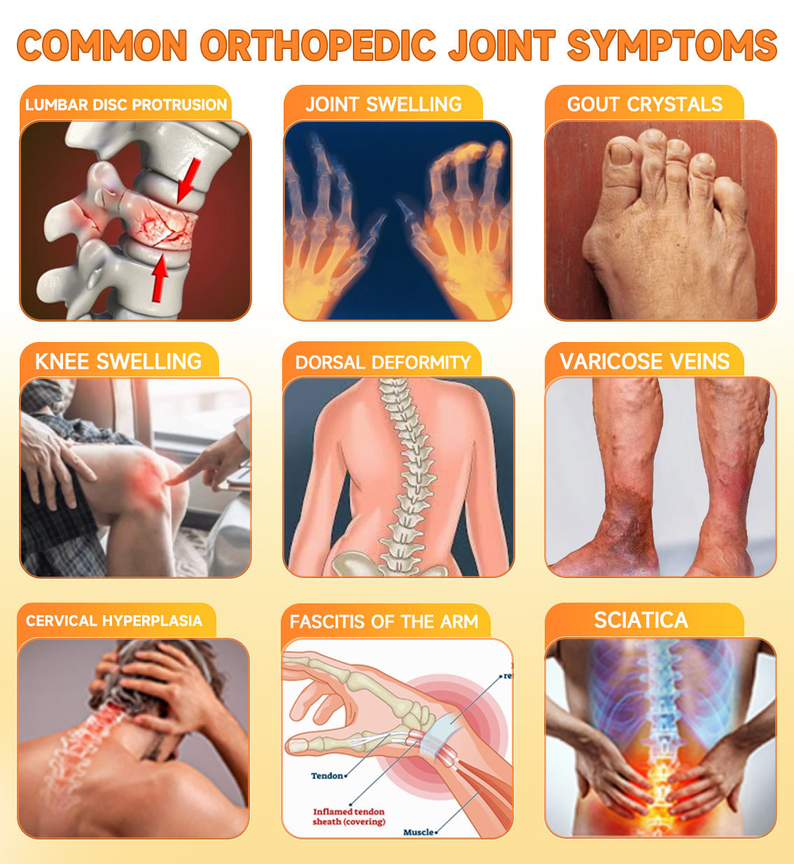 Lotmay® Bee Venom Pain Relief Joint Repair Cream 🐝🐝(Specially for older adults & AOA commends)