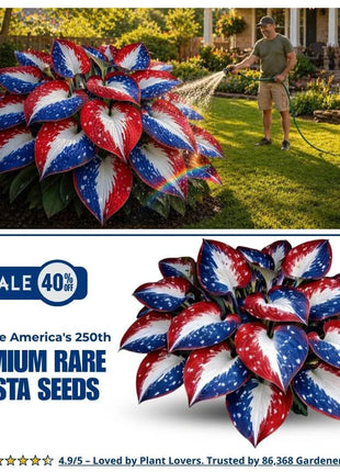 🎉Last Day Sale Off 49%🎉Celebrate America's 250th 🌱Premium Shade-Loving Hosta Seeds