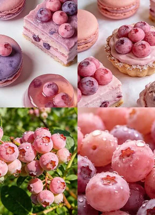 🔥50K+ SOLD!💟Premium Pink Blueberry Seeds -😋A Uniquely Delightful Taste