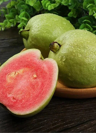 🍈Tropical Guava Growing Kit for Pots & Gardens
