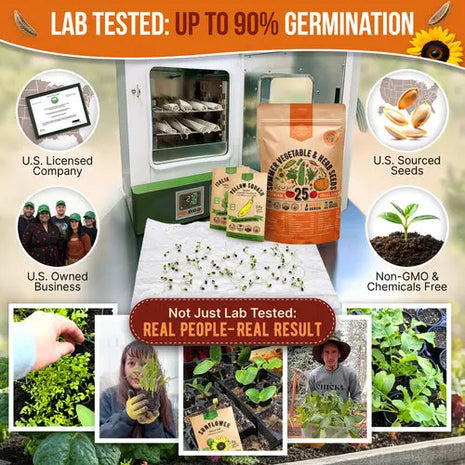25 Summer Fruit & Vegetable Seeds Variety Pack