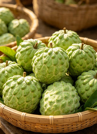 Sugar Apple Home Growing Kit