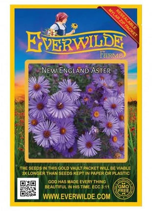 New England Aster Seeds