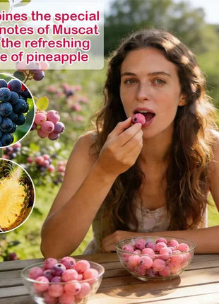 🔥50K+ SOLD!💟Premium Pink Blueberry Seeds -😋A Uniquely Delightful Taste