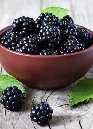 🔥Sweet Giant Blackberry Seeds