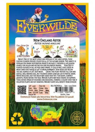 New England Aster Seeds