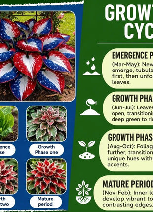 🎉Last Day Sale Off 49%🎉Celebrate America's 250th 🌱Premium Shade-Loving Hosta Seeds