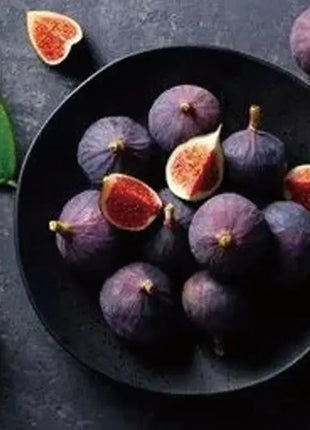 🏆65K+ SOLD!🌿Brown Turkey Fig Seeds-America's Favorite Fig for Patio &amp; Container Gardening! Easy to Grow, Sweet Harvest.