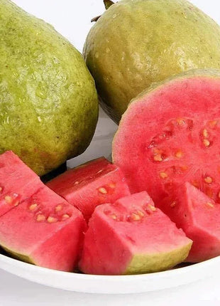 🍈Tropical Guava Growing Kit for Pots & Gardens