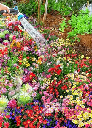Mixed-perennial-flowers-seeds-over-60-kinds-mixed