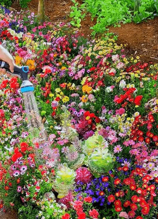 Mixed-perennial-flowers-seeds-over-60-kinds-mixed