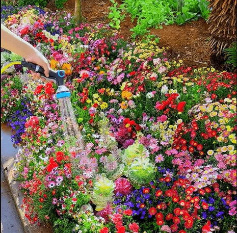 Mixed-perennial-flowers-seeds-over-60-kinds-mixed