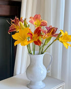 Large-Flowered Daylily Seeds-Big Bloom Garden Favorite