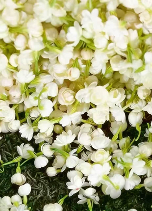 🌸 Last Day 49% OFF – Winter-Friendly Hanging Jasmine—Dreamy Indoor Flower🌿❄️/2
