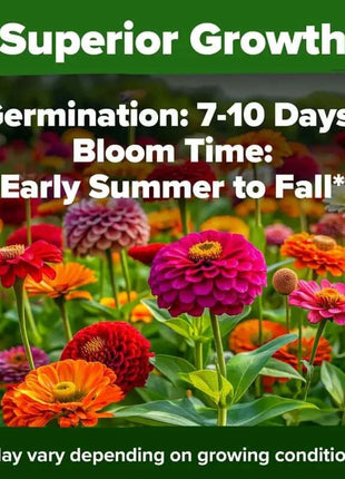 🔥HOT SALE 49% OFF-Zinnia Seeds - Pure Seeds - No Filler - USA Heirloom Flower Seeds-3