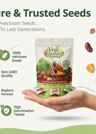 Vegetable Seed Vault Kit