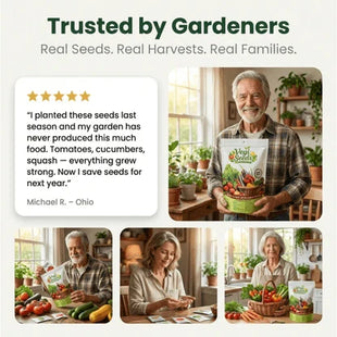 Vegetable Seed Vault Kit