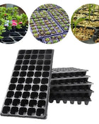 SEEDLING TRAY for Optimal Plant Growth