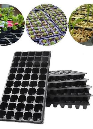 SEEDLING TRAY for Optimal Plant Growth