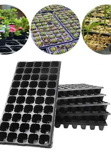 SEEDLING TRAY for Optimal Plant Growth
