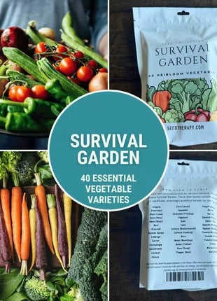Survival Vegetable Garden – 40 Essential Crops