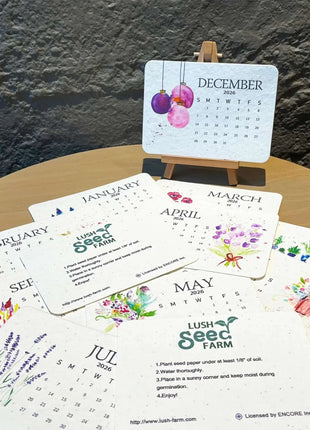 ✨This Week's Special Price ✨-🌱Eco-Friendly Plantable Love Seed Calendar 2026
