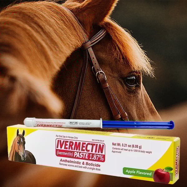ivermectin Horse Paste 1.87% 6.08g Tubes