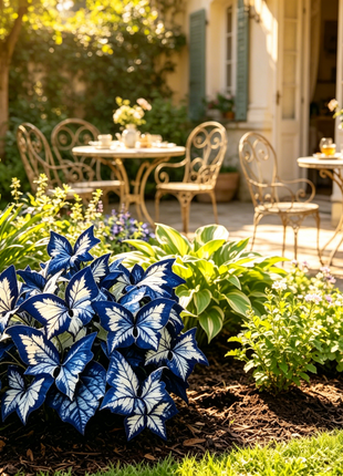 Butterfly Leaf Hosta Seeds-Unique ResemblingButterfly Wings-Shade-LovingPerennial for Garden Borders& Landscaping