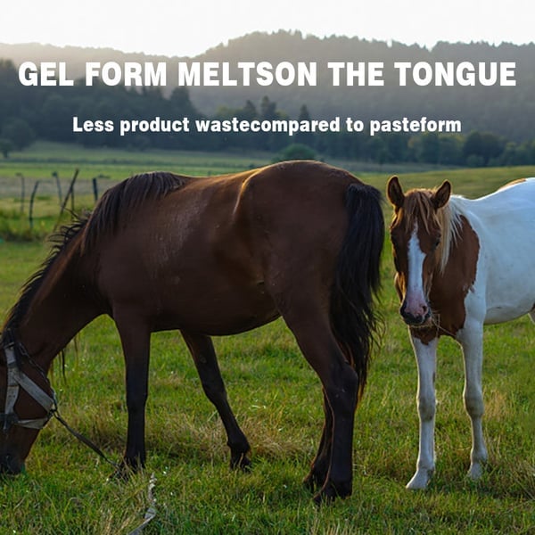 ivermectin Horse Paste 1.87% 6.08g Tubes