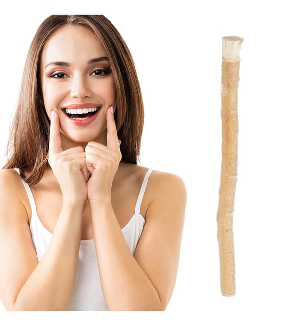 🔥Hot Sale 49% OFF🔥Miswak Teeth Whitening Toothbrush