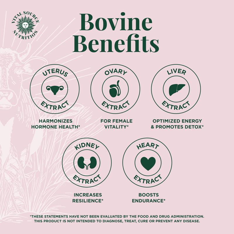 BiFi - Primal Health Blend Capsules