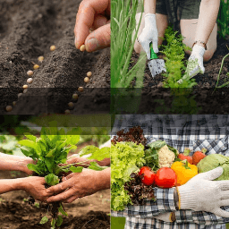 🥦Ultimate Survival Seed Vault (16,000+ Seeds) | 35 Variety Pack🌿|50-Year Shelf Life