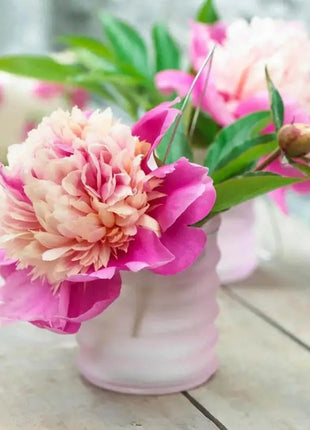 Lady Liberty Peony Seeds - Showy Blooms, Fragrant, Long-Lived, Attracts Pollinators, Excellent Cut Flower - Plant in Spring/Fall