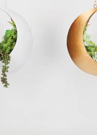 Hanging Moon Planter - Moms Day Gifts for Women - Moon Room Decor - Unique Planters for Succulents,Air Plant, Cactus, Artificial Plants- Plant Lover Gifts - Boho,Hippie, Witchy, Birthdays Gifts