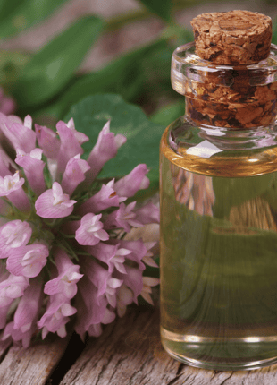 Red Clover – 200 Seeds