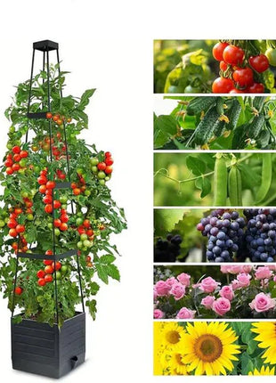 Garden Raised Bed Planter Boxes with Trellis