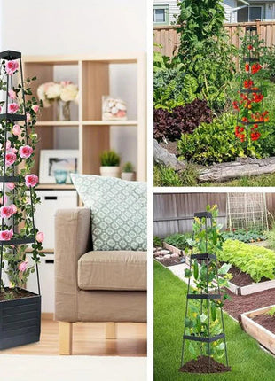 Garden Raised Bed Planter Boxes with Trellis