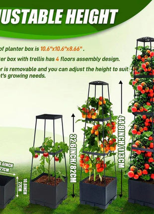 Garden Raised Bed Planter Boxes with Trellis